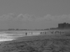 Florida 08 035.jpg